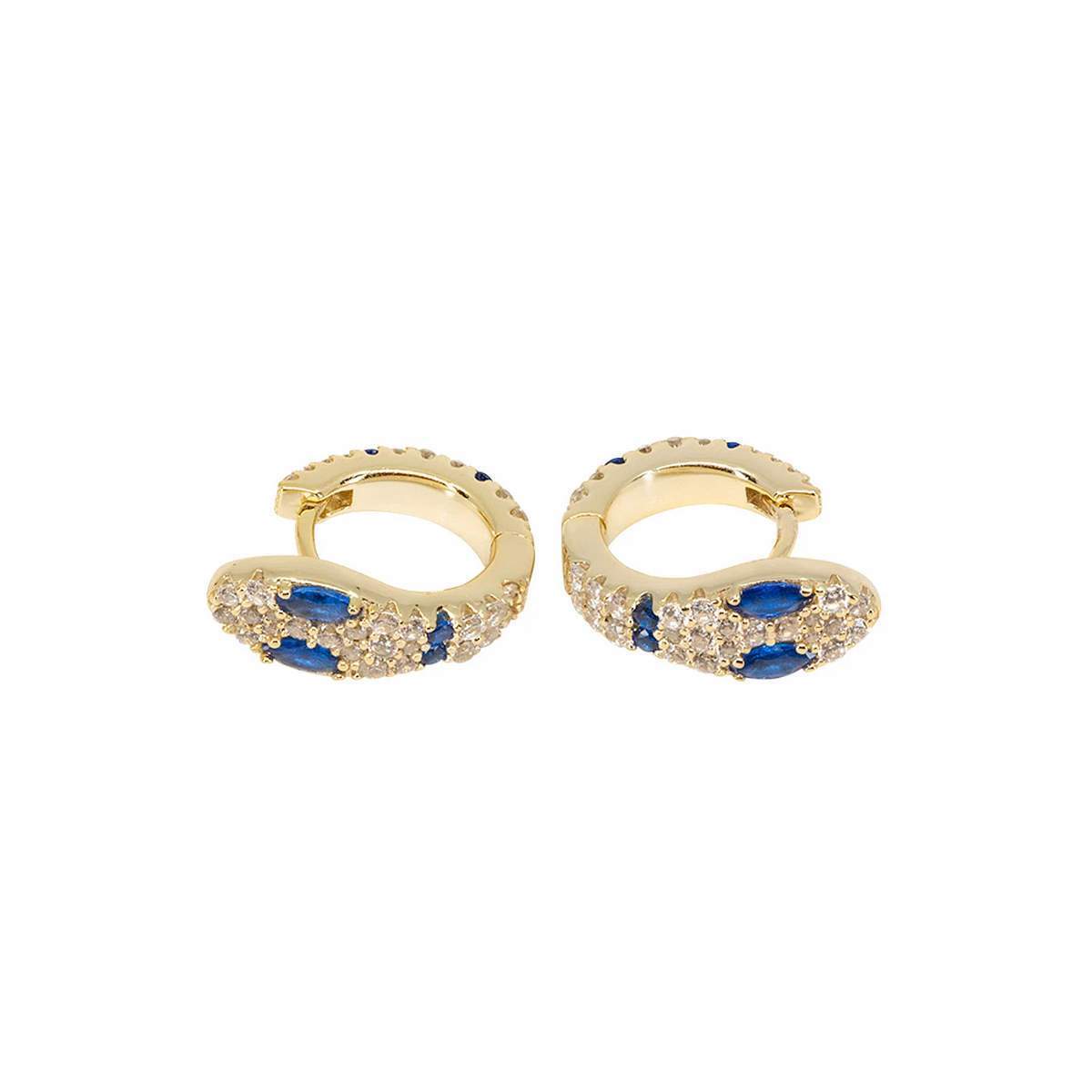 Blue Snake Hoops