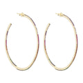 Crystal Spectrum Hoops
